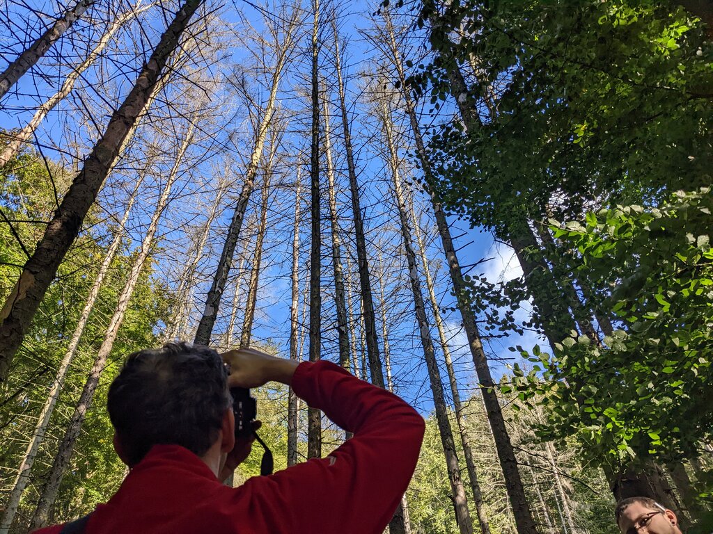 Waldbegutachtung im Oktober 2022